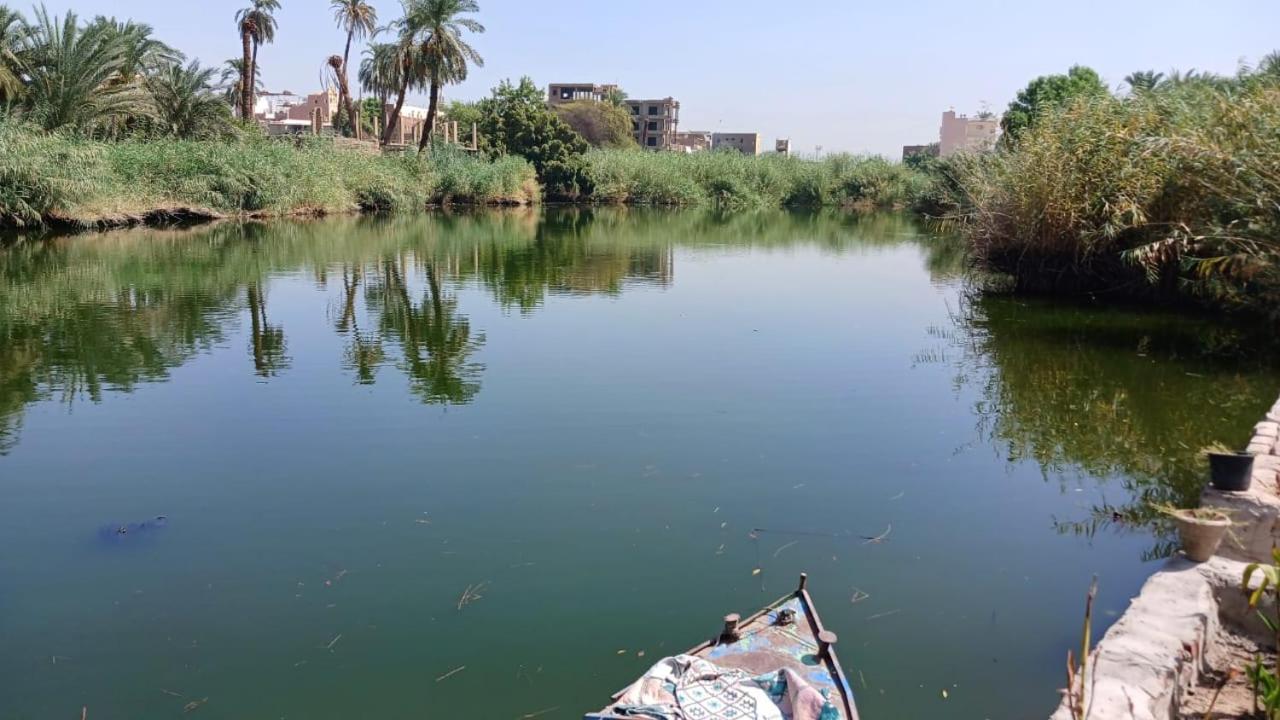 Luxor Old Nile Hotel Luaran gambar